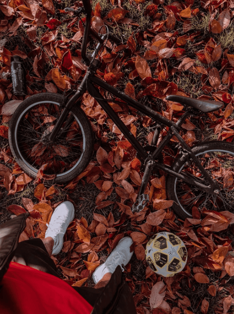 Sports equipment on leaves